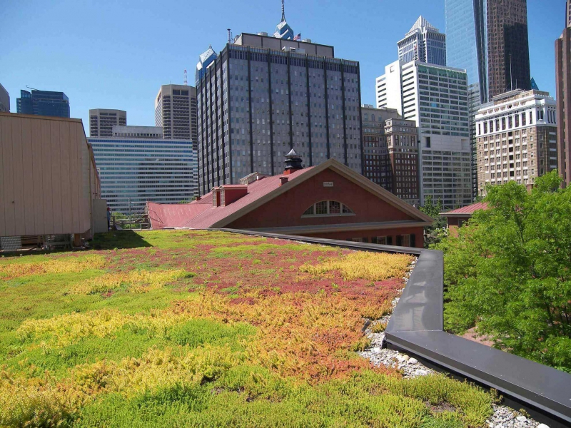 paysagiste-VINS SUR CARAMY-min_green-roof-portfolio-4